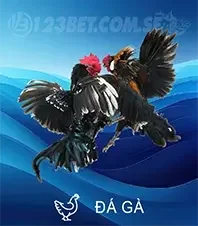 daga123b